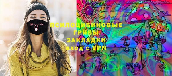 прущие грибы Беломорск