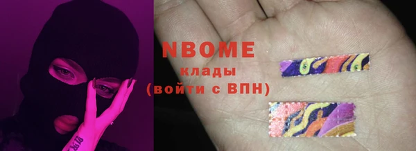 прущие грибы Беломорск