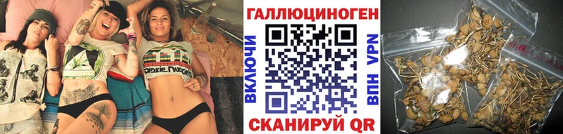 Галлюциногенные грибы GOLDEN TEACHER  Купить  Калуга 